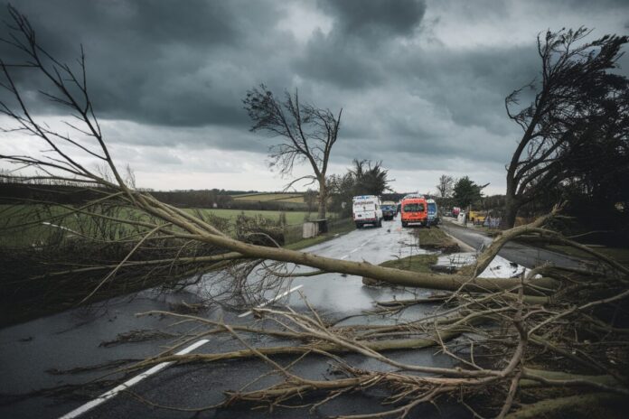 Destruction après la tempête Nils Route rurale en France avec arbres déracinés après la tempête Nils