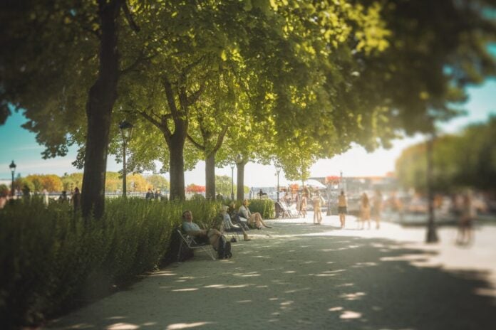 Paris en pleine canicule Parisiens se détendant dans un parc ombragé pendant la canicule